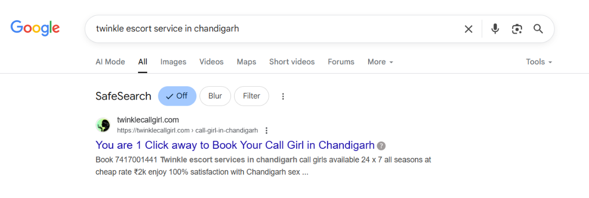screenshot result keyword type on google 'twinkle escort service in Chandigarh'